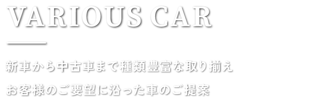 VARIOUS CAR 新車から中古車まで種類豊富な取り揃え お客様のご要望に沿った車のご提案